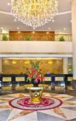 Туры в отель South Pacific International Hotel