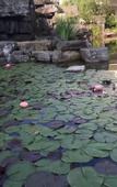 Туры в отель Shaoxing Hotel Yonghe Manor