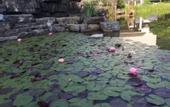 Туры в отель Shaoxing Hotel Yonghe Manor