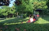 Туры в отель Shaoxing Hotel Yonghe Manor