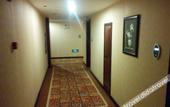 Туры в отель Gansu International Hotel