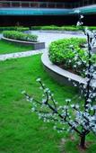 Туры в отель Perthden (Hanging) Gardens Hotel