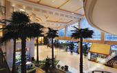 Туры в отель Shangyu International Hotel
