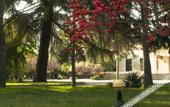 Туры в отель Grand Shaanxi Hotel