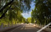Туры в отель Grand Shaanxi Hotel