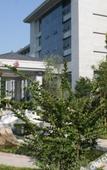 Туры в отель Grand Shaanxi Hotel