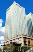 Туры в отель Fortune International Hotel