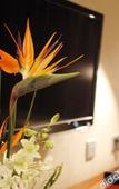 Туры в отель Cosy City Hotel