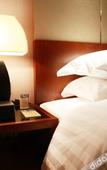 Туры в отель Cosy City Hotel