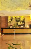 Туры в отель Cosy City Hotel