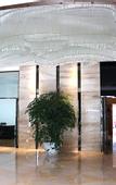 Туры в отель Cosy City Hotel