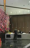 Туры в отель Alice Boutique Hotel (Shenzhen Baoan Honglang North Metro Station)