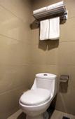 Туры в отель Homeinn Hotel (Paojiang New District Olympic Sports Center)