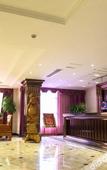 Туры в отель Homeinn Hotel (Paojiang New District Olympic Sports Center)