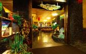 Туры в отель Haikou Island Forest Hotel (Haikou East High-speed Railway Station)