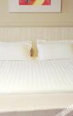 Туры в отель Magnotel Hotel (Yangzhou East High Speed Railway Station)