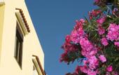 Туры в отель Le Canne