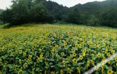 Туры в отель voco NINGBO DONGQIAN LAKE by IHG