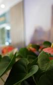 Туры в отель Leica Hotel