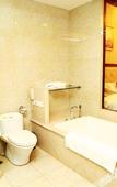 Туры в отель Riverside Hotel
