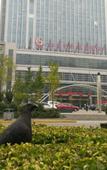 Туры в отель Gaoxin Joy International Hotel