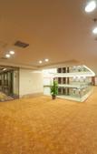 Туры в отель Juneyao International Hotel