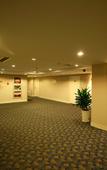 Туры в отель Zhongtian Phoenix Hotel (Changzhou Dinosaur Park Global Harbor)