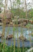 Туры в отель Tangpo Hot Spring Resort