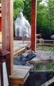 Туры в отель Tangpo Hot Spring Resort