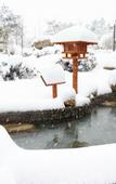 Туры в отель Tangpo Hot Spring Resort