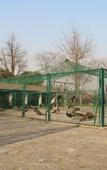 Туры в отель Tangpo Hot Spring Resort