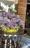 Туры в отель Hangzhou Xinghai Narada Hotel