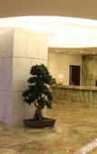 Туры в отель Muxiang Garden Hotel (Chadianzi Passenger Transport Terminal Subway Branch)