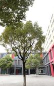 Туры в отель Vienna Hotel (Suzhou Industrial Park, Yangcheng Lake, Fashion Stage)