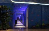 Туры в отель LUOSI  Hotel