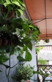Туры в отель Shanghai Jiaoli Xiaoyan Inn (Zhujiajiao Scenic Area Ancient Town)