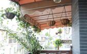 Туры в отель Shanghai Jiaoli Xiaoyan Inn (Zhujiajiao Scenic Area Ancient Town)