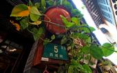 Туры в отель Shanghai Jiaoli Xiaoyan Inn (Zhujiajiao Scenic Area Ancient Town)
