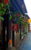 Туры в отель Shanghai Jiaoli Xiaoyan Inn (Zhujiajiao Scenic Area Ancient Town)