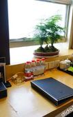 Туры в отель Zhengyuan Mingyin International Hotel