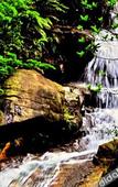 Туры в отель Long Chan Resort Xinhui