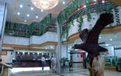 Туры в отель Dapeng Hotel