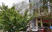 Туры в отель Boda International Hotel