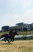 Туры в отель Mingdu Ziwei Garden Hotel