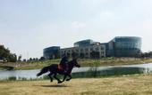 Туры в отель Mingdu Ziwei Garden Hotel