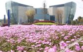 Туры в отель Mingdu Ziwei Garden Hotel
