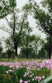 Туры в отель Mingdu Ziwei Garden Hotel