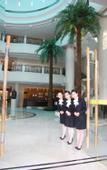 Туры в отель Midtown Hotel