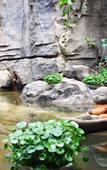 Туры в отель KUN MING UPLAND INTERNATIONAL YOUTH  HOSTEL
