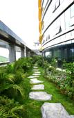 Туры в отель Golden Plaza International Hotel